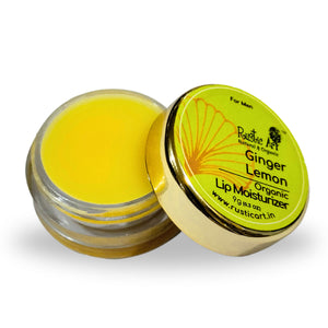 Ginger Lemon Lip Moisturizer (9gm)